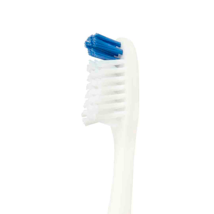 Falcon Toothbrush Family Care with Curved Filaments for Deeper Reach